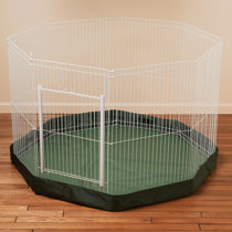 Wayfair guinea pig clearance cages